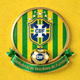 巴西国家足球队队徽