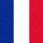 法国国家队国旗