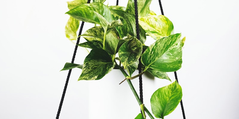 足球世界杯小组赛积分榜实时更新大屏幕显示