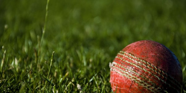 美国男篮国家队在训练中演练战术